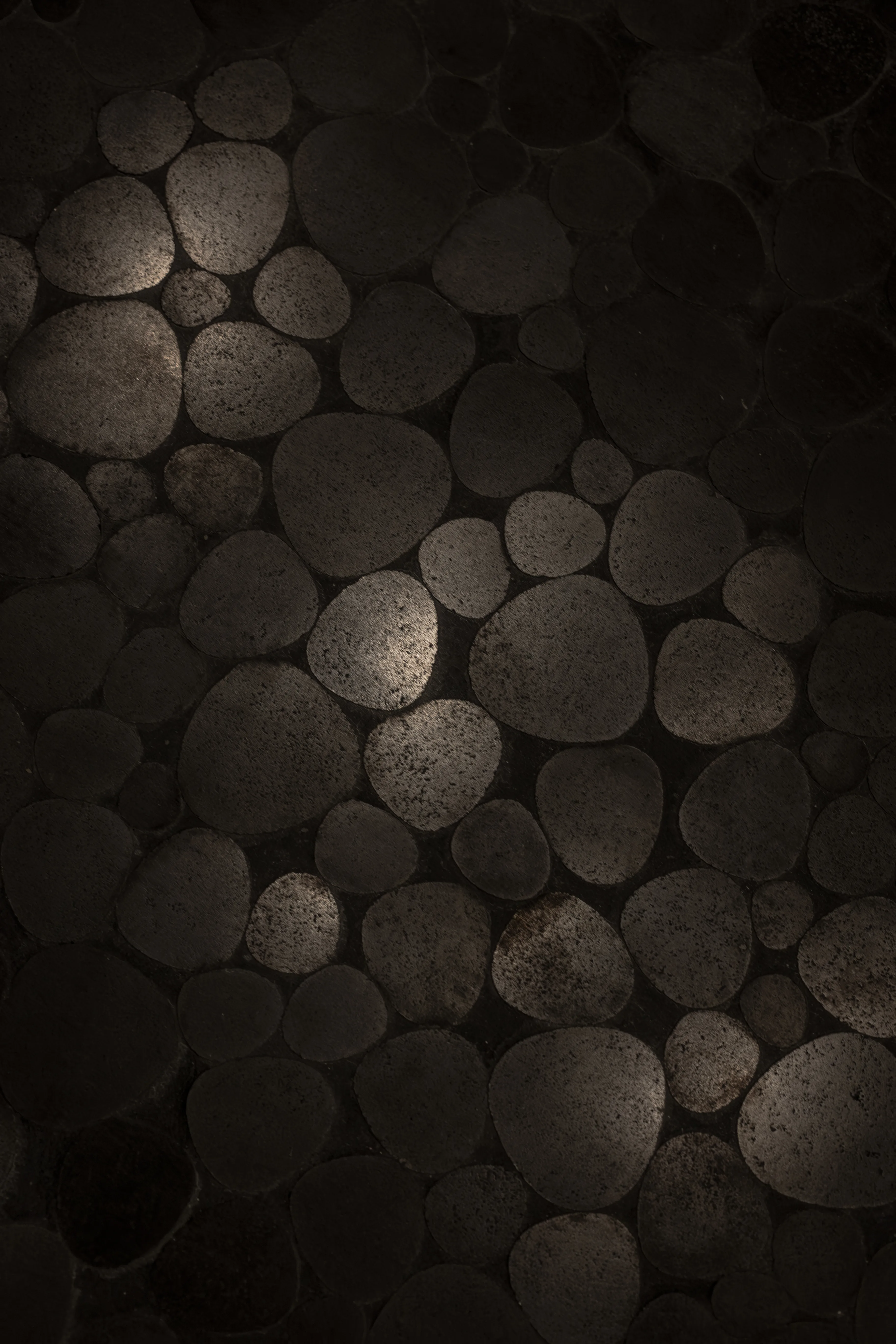medhouse-2